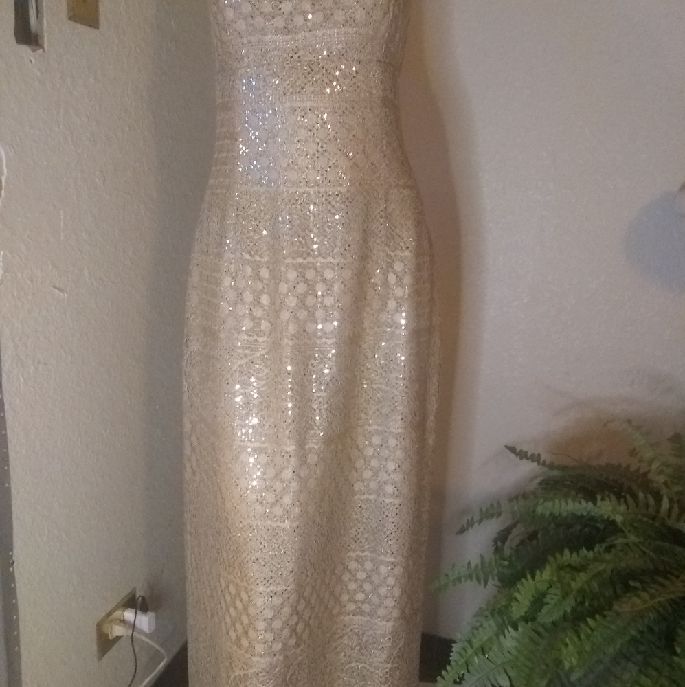 Bari Jay dress